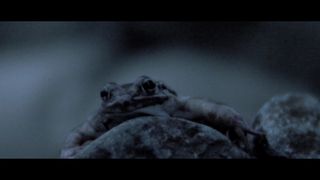 개구리 찾기 2013劇照