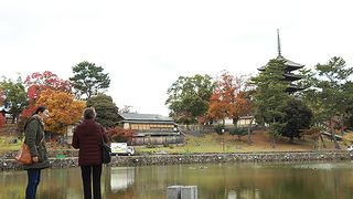 再会の奈良 写真