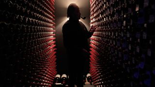 와인을 향한 열정 Red Obsession 사진