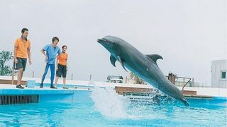 돌핀 블루 Dolphin blue: Fuji mou ichido sora e ドルフィンブルー　フジ、もういちど宙へ Foto
