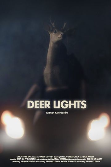 디어 라이츠 Deer Lights 사진