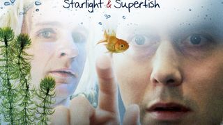 스타라이트 & 슈퍼피쉬 Starlight & Superfish 사진