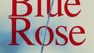 파란 장미 Blue Rose 사진