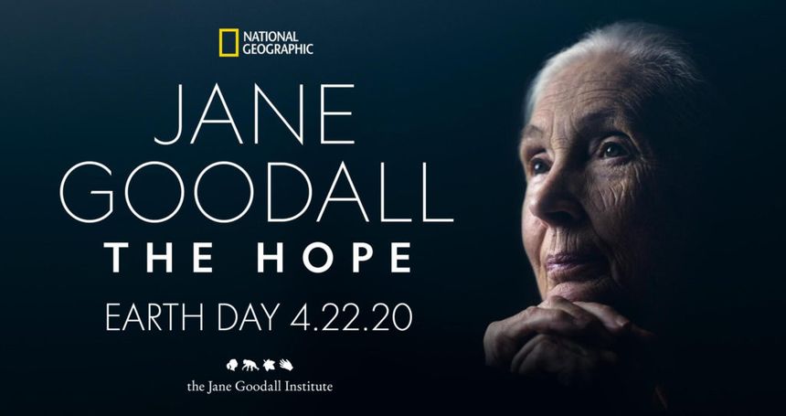 제인 구달의 희망 Jane Goodall: The Hope Foto