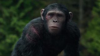 猩球崛起2：黎明之戰 猿人爭霸戰 猩凶崛起/猩球黎明/Dawn of the Planet of the Apes 사진
