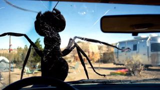 데드 앤트: 거대개미의 습격 Dead Ant 사진