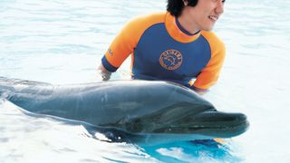 돌핀 블루 Dolphin blue: Fuji mou ichido sora e ドルフィンブルー　フジ、もういちど宙へ รูปภาพ