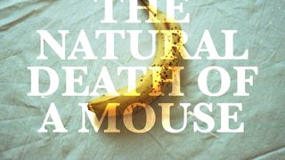 내추럴 데스 오브 어 마우스 The Natural Death of a Mouse Foto