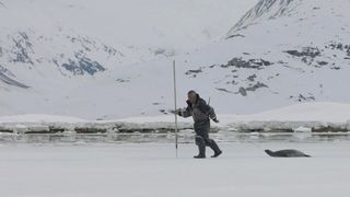 북극에서의 한 해 A Polar Year 사진