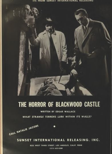黑林城堡之犬 Der Hund von Blackwood Castle劇照