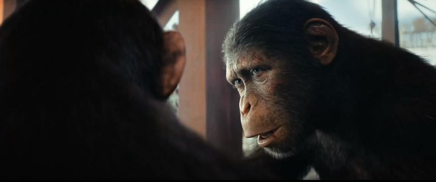 猿人爭霸戰：猩凶帝國  Kingdom of the Planet of the Apes劇照