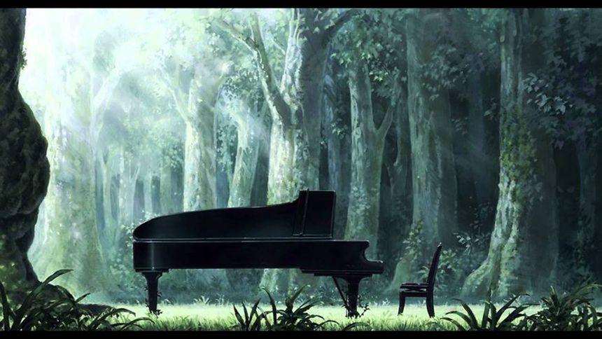 鋼琴之森 ピアノの森 Photo