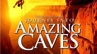 別有洞天 Journey Into Amazing Caves劇照