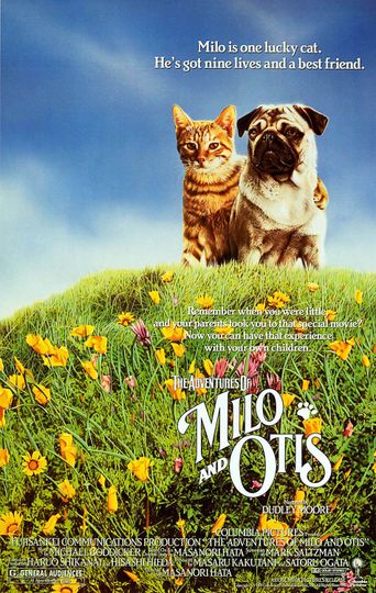 밀로와 오티스의 모험 The Adventures Of Milo And Otis Photo