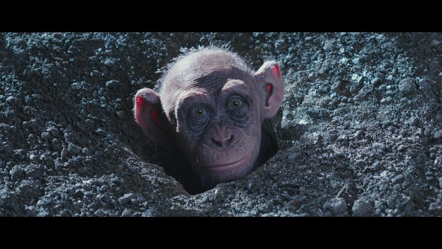 猩球崛起3：终极之战 War for the Planet of the Apes รูปภาพ