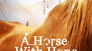 산나변유필마 A Horse with Hope Foto