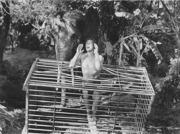 타잔, 필사의 탈출 Tarzan Escapes 사진