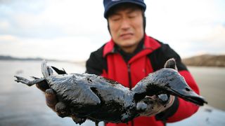 검은 눈물 Black Tears: Hebei Spirit Oil Spill劇照