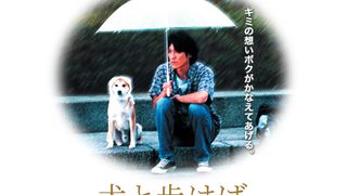 ảnh 개와 함께 걸어봐요 Walking with the Dog, 犬と步けば