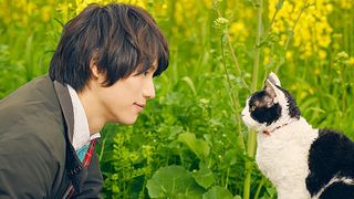 旅貓日記  The Traveling Cat Chronicles劇照