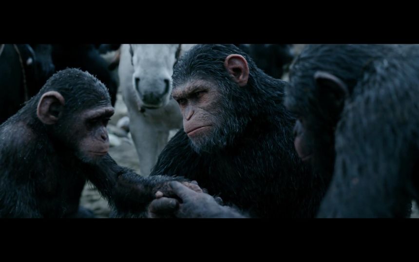 猩球崛起3：终极之战 War for the Planet of the Apes劇照