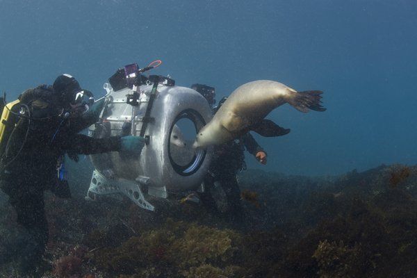 언더 더 시 3D Under the Sea 3D 사진