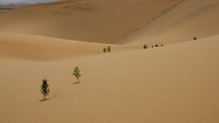 모래의 역습 2011 사진