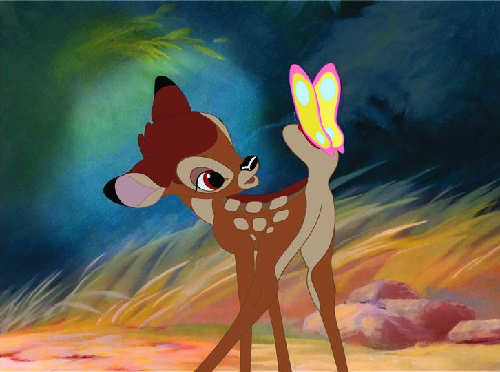 小鹿斑比 Bambi Photo