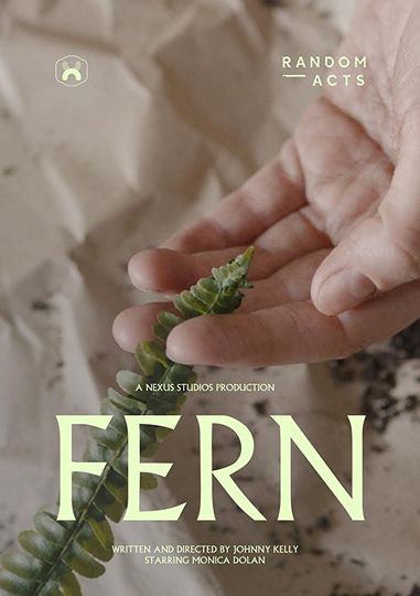식물 Fern รูปภาพ