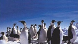 南極洲 Antarctica劇照