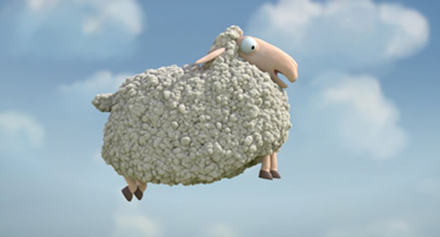 오, 양! Oh Sheep! Photo