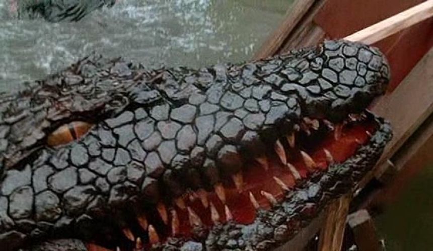 殺人鱷魚潭 Killer Crocodile劇照