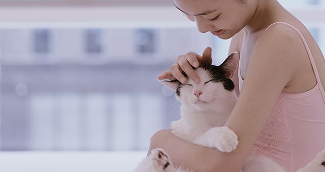 私と猫のサランヘヨ Foto