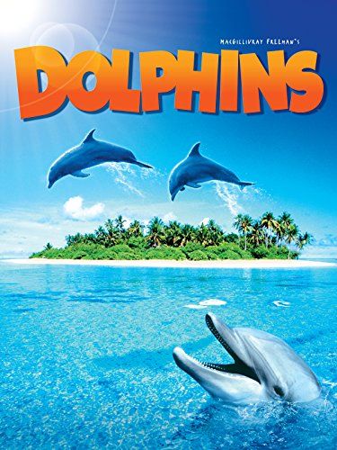 海豚 Dolphins劇照