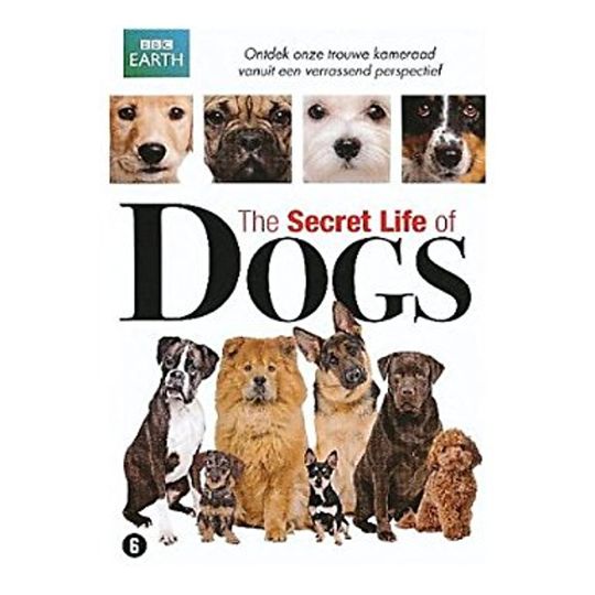 狗的祕密生活 Secret Life of Dogs Photo