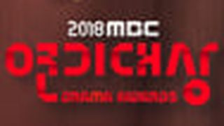 MBC Drama Awards MBC 연기대상劇照
