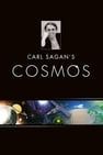 宇宙：個人遊記 Cosmos: A Personal Voyage劇照