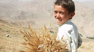 마이 차일드후드, 마이 컨트리: 20 이어스 인 아프가니스탄 My Childhood, My Country: 20 Years in Afghanistan 사진