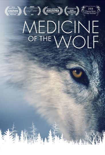 狼医学 Medicine of the Wolf劇照