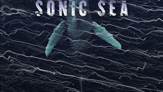 소닉 씨 Sonic Sea Photo