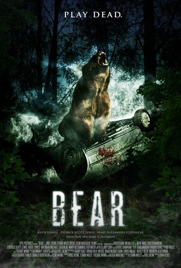 狂熊之災 Bear Photo