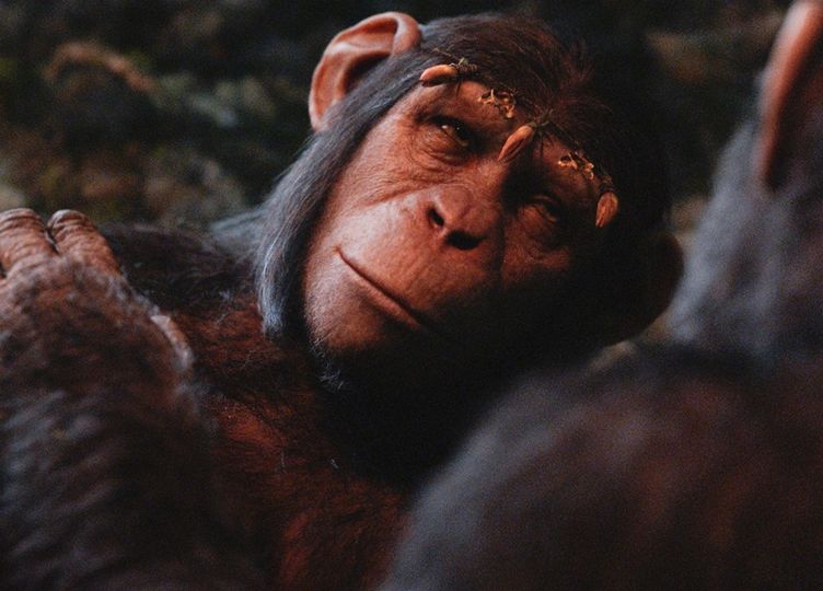 猩球崛起2：黎明之戰 猿人爭霸戰 猩凶崛起/猩球黎明/Dawn of the Planet of the Apes Photo