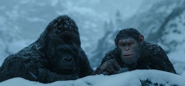 ảnh 猩球崛起3：终极之战 War for the Planet of the Apes