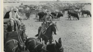 牛仔 The Cowboys Foto