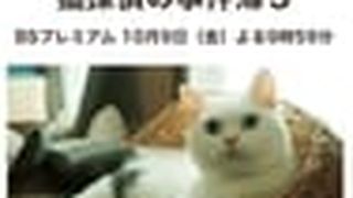 Neko Tantei no Jikenbo 3 猫探偵の事件簿３劇照