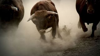 엔씨에로 3D: 불 러닝 인 팜플로냐 Encierro 3D: Bull Running in Pamplona Photo