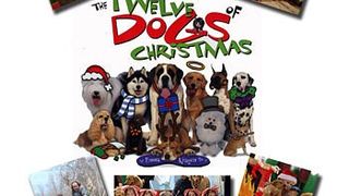 더 12 독스 오브 크리스마스 The 12 Dogs of Christmas 사진