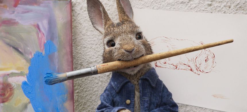 피터 래빗 Peter Rabbit 사진