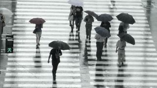 비(雨) Rain Photo