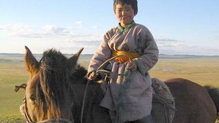 몽골리언 핑퐁 Mongolian Ping Pong, 綠草地 写真